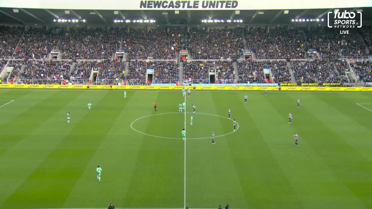 Newcastle United vs. Fulham FC